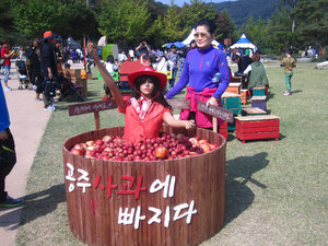 Chungju Apple Festival