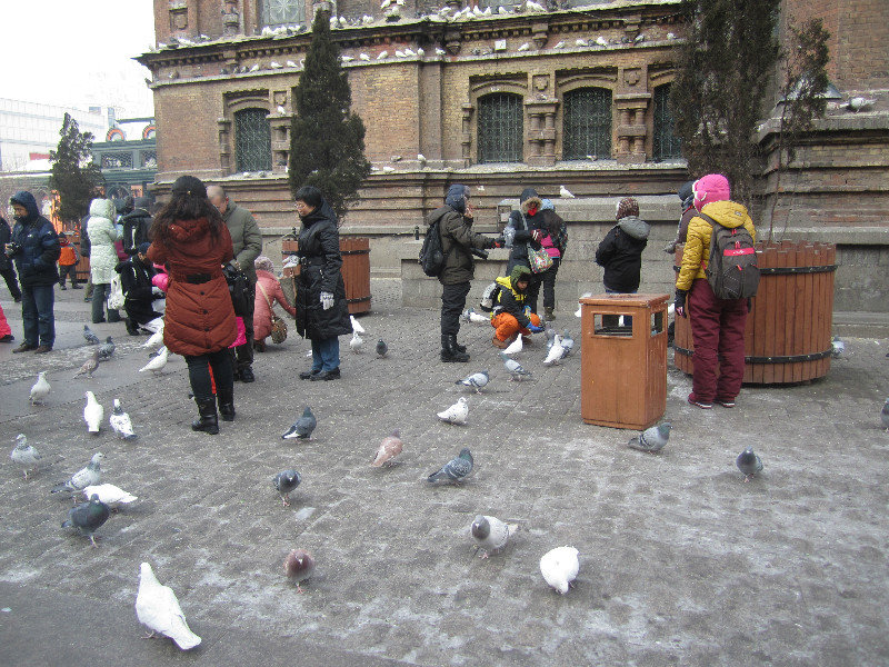 Feeding The Pigeons