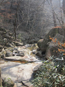 Songnisan National Park