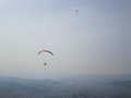 Paragliders 