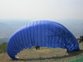 Paragliders 