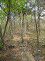 Seongju Recreational Forest