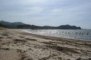 Eorisgol Beach