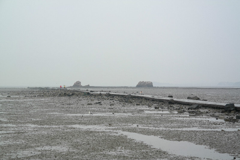 Mud Flats 