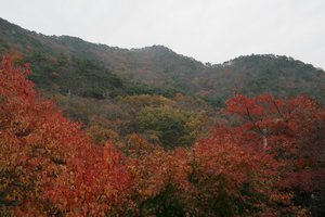 Seonunsan Provincial Park