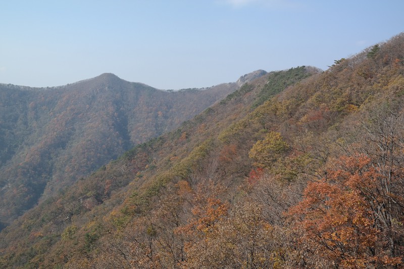 Naejangsan National Park
