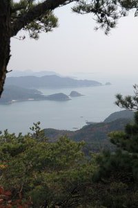 View From Unjubong