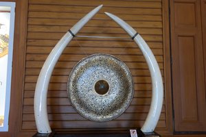 Gong and Elephant Tusks