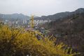Mt. Ansan and Seoul