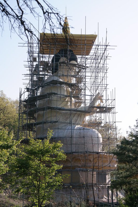Buddha Under Construction