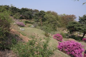 Mangu Cemetery Park