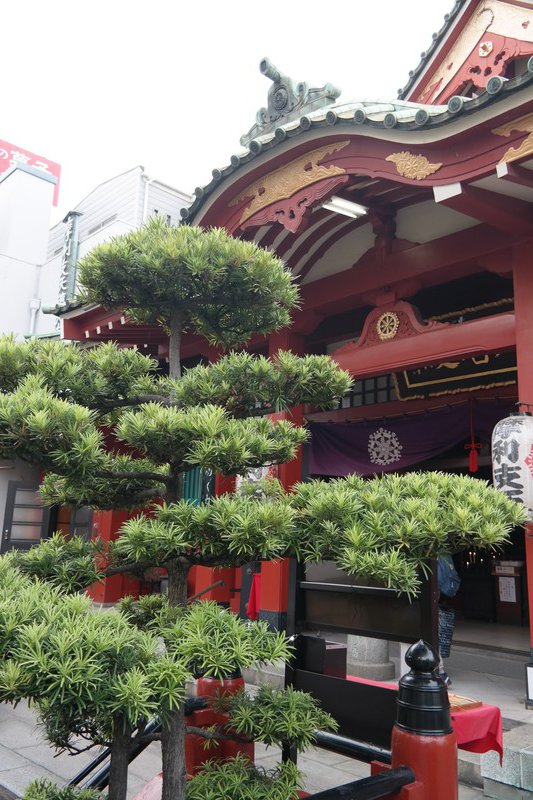 Tokudai-ji Temple