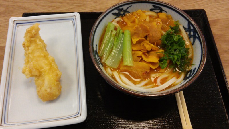 Chicken Tempura and Pork Udon
