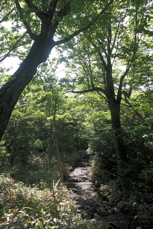 Seongpanak Trail