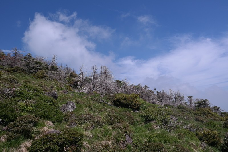Seongpanak Trail