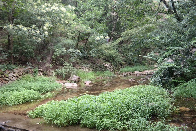 Suraksan Provincial Park