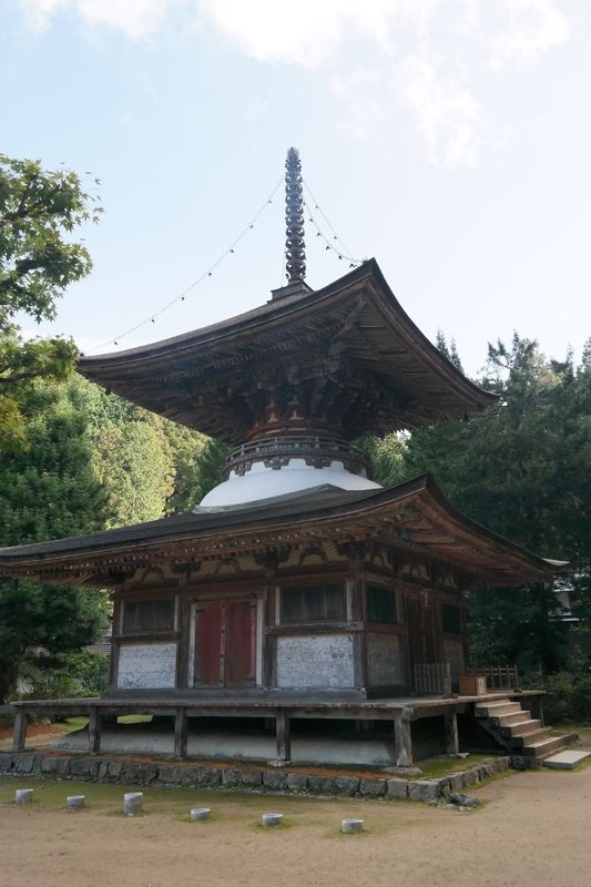 Kongosanmaiin