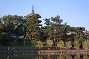 Sarusawalke Pond & Kohfuku-ji Temple