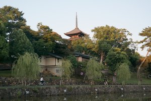 Sarusawalke Pond & Kohfuku-ji Temple
