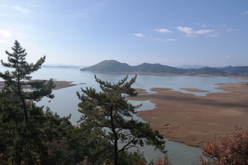 Suncheon Bay Ecological Park