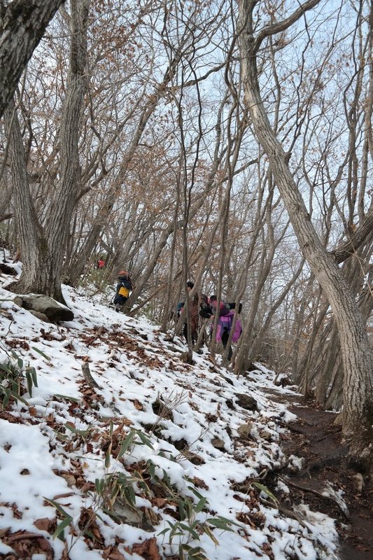 Snowy, Muddy Trail
