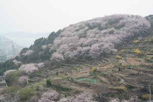 Gamcheon Culture Village