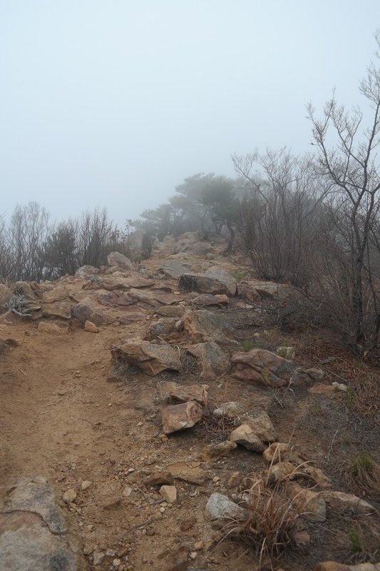 Misty Trail