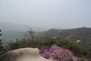 Smoggy View