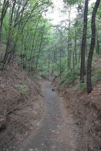 Seoul Trail