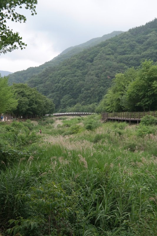 Mungyeong Saejae