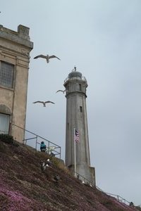 Lighthouse