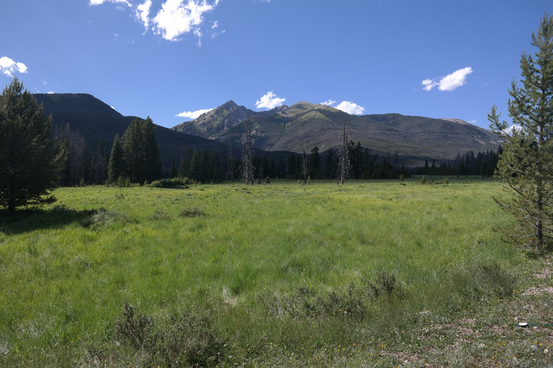 Trail Ridge Road