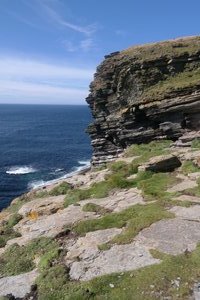 Marwick Head