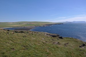 Marwick Head