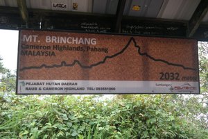 Mount Brinchang