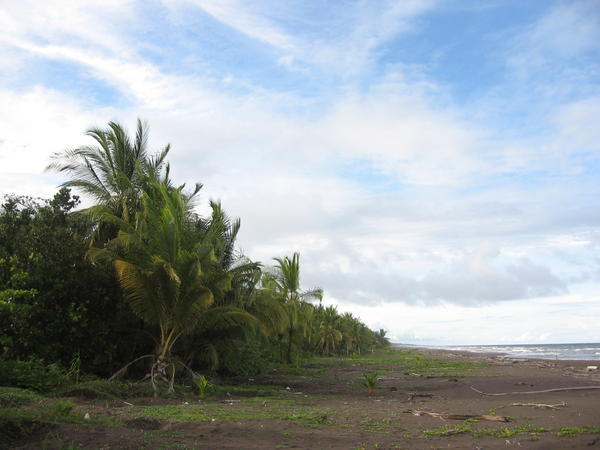 The caribbean ocean view