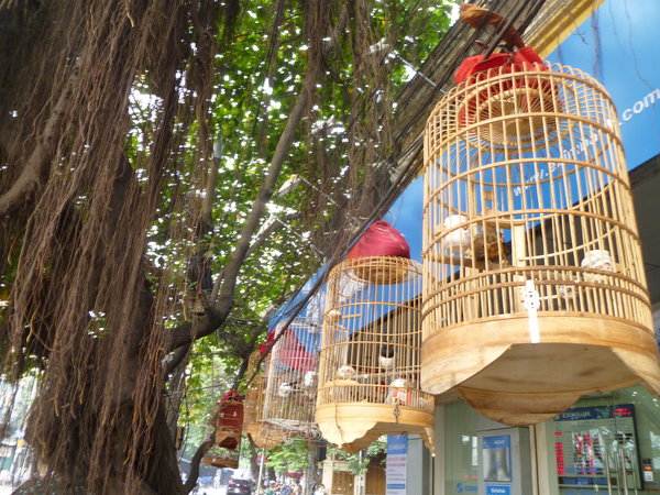 Birdcages line the street