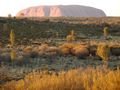 Another sunrise view of Uluru