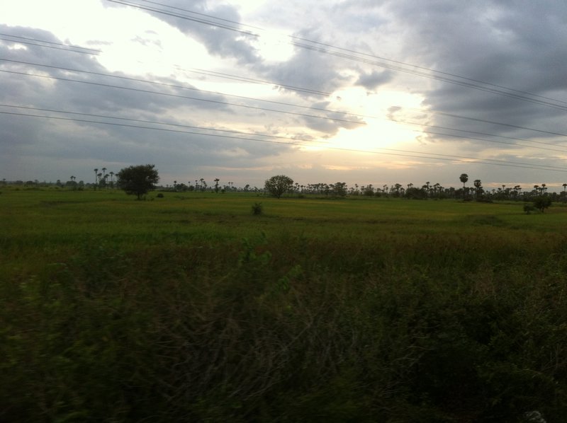 View from the Train at Dusk