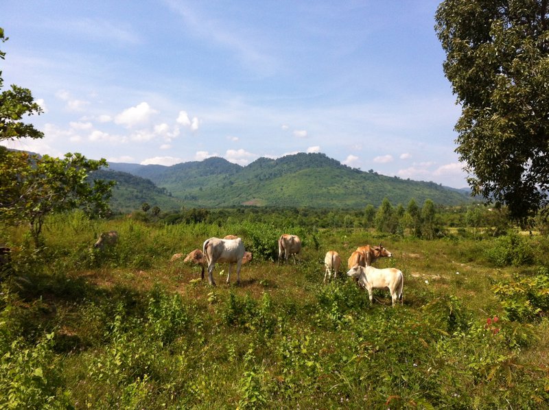 Kampot Countryside