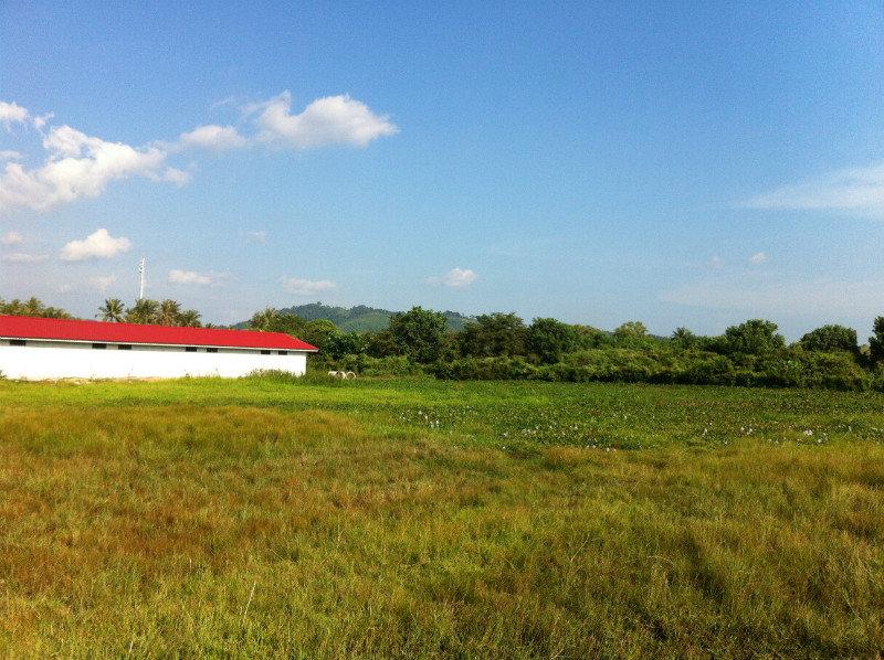 Langkawi Countryside