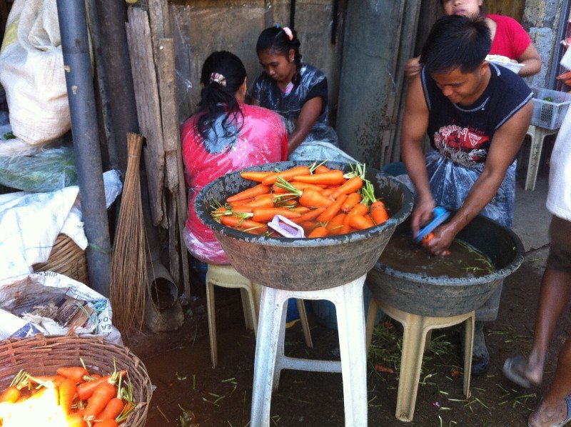 Scrubbing Carrots at Baguio City Market