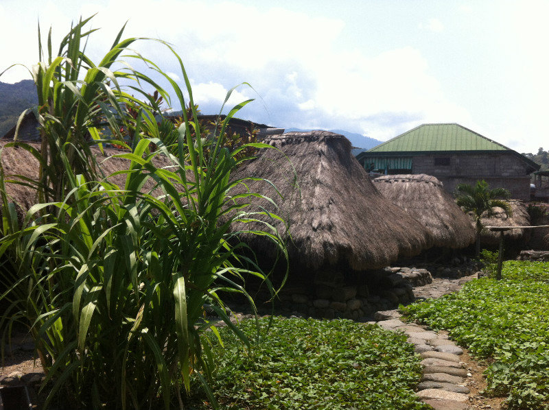 Traditional Ifugao Huts