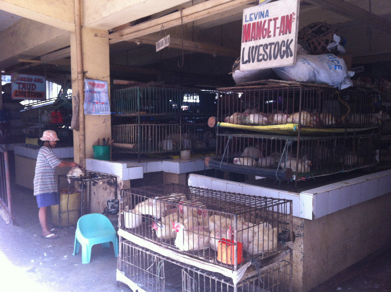 Live Poultry at Bontoc Market