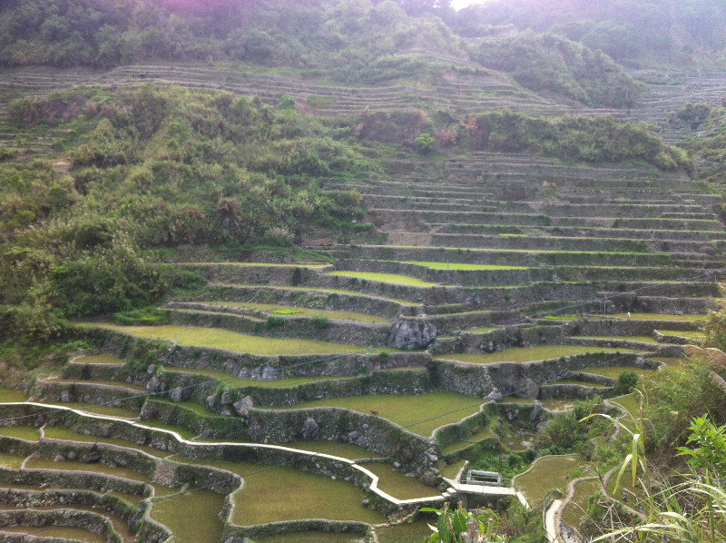 Maligcong Rice Terraces