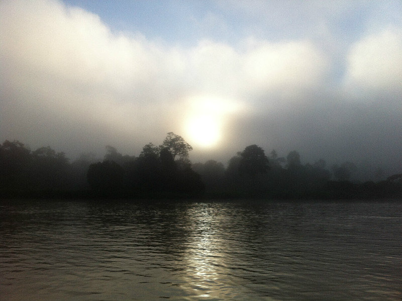 Foggy Morning in Sukau