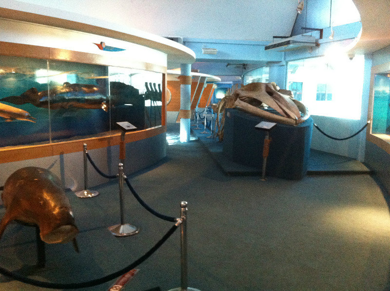 Marine Museum