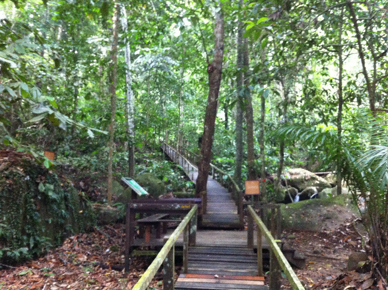 Rafflesia Trail @ Taman Gunung Gading