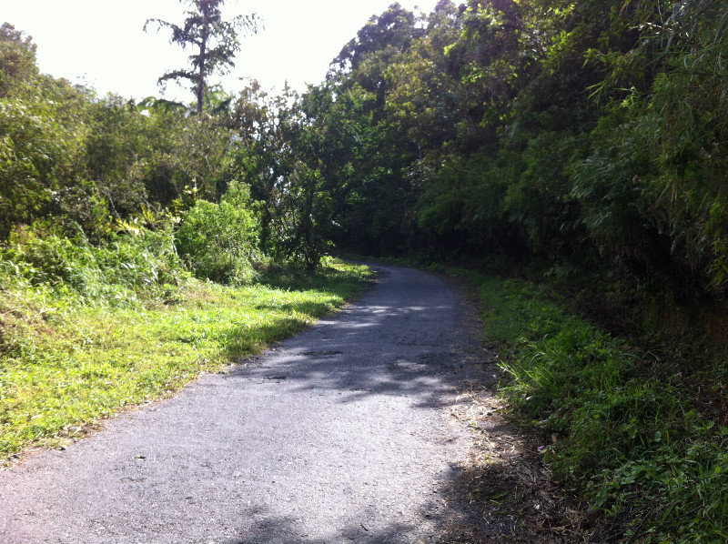 Trail up Gunung Sibayak