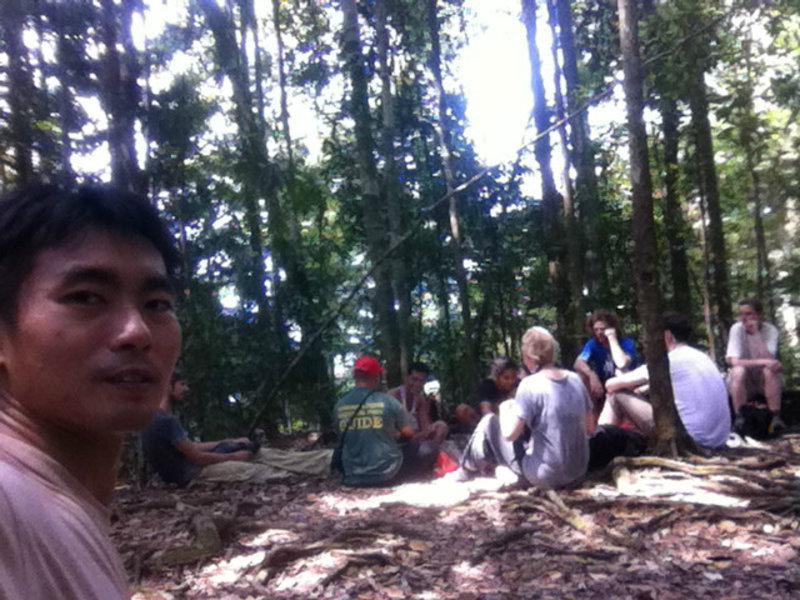 Lunch Break in the Jungle